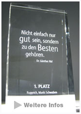 Innovationspreis 2013
